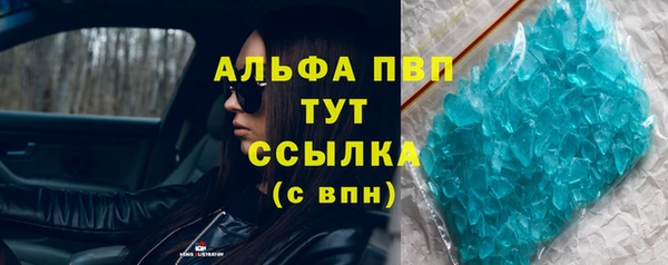 гидра Алексеевка
