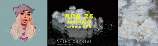 амф Алзамай