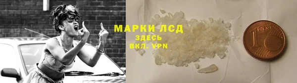 гидра Алексеевка