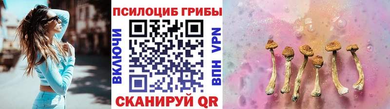 сколько стоит Петрозаводск Псилоцибиновые грибы Cubensis