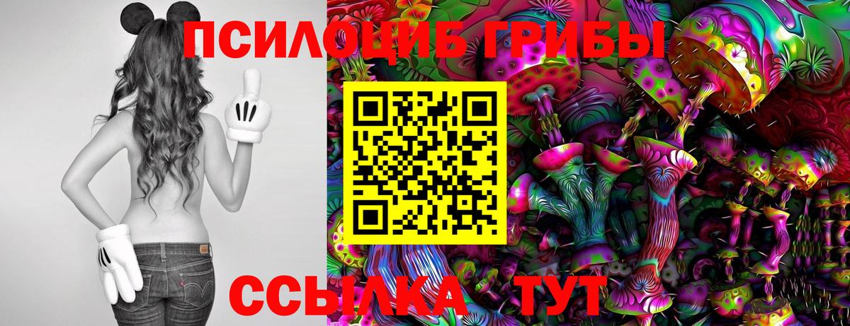 Петрозаводск  Галлюциногенные грибы ЛСД  Вход с VPN 