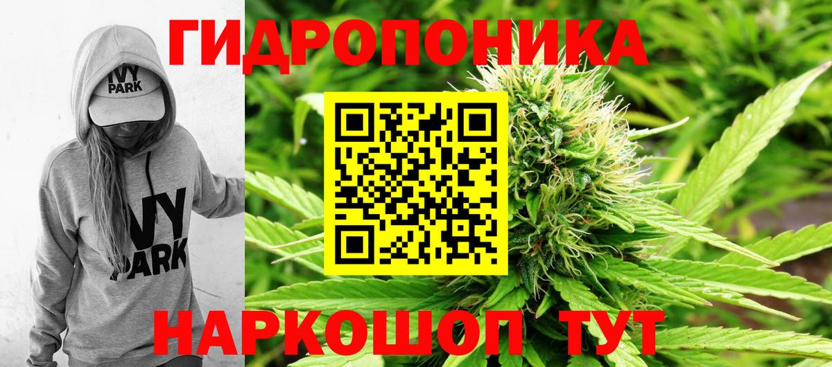 Бошки Шишки сатива Петрозаводск